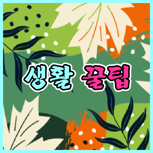 생활 꿀팁