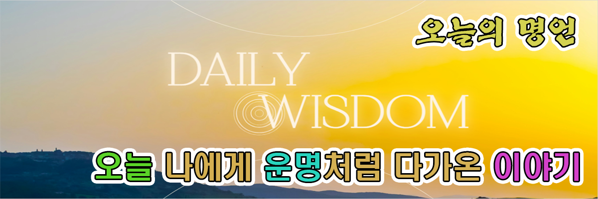 프로모션 배너 2